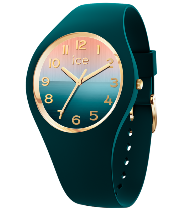 ICE WATCH 021354 ICE WATCH 021354