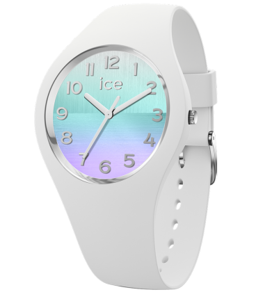 ICE WATCH 021356 ICE WATCH 021356