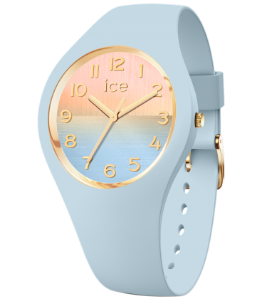 ICE WATCH 021358 ICE WATCH 021358