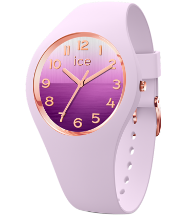 ICE WATCH 021359 ICE WATCH 021359