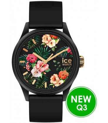 ICE WATCH 020597