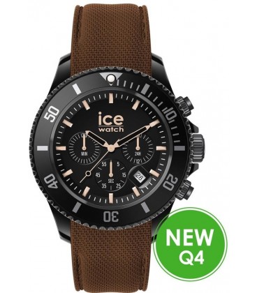 ICE WATCH 020625