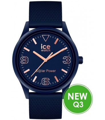 ICE WATCH 020606