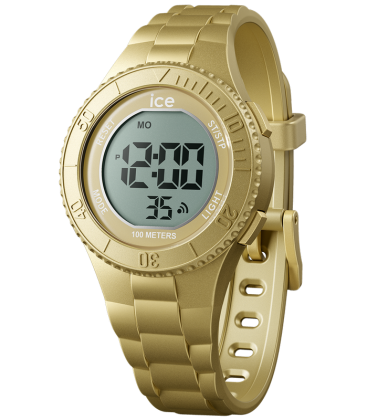 ICE WATCH 021277 ICE WATCH 021277