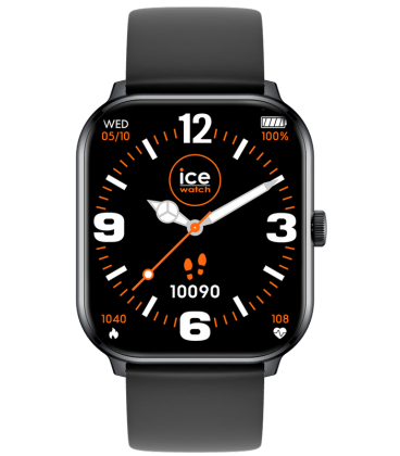 ICE WATCH 021409