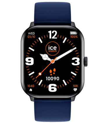 ICE WATCH 021410