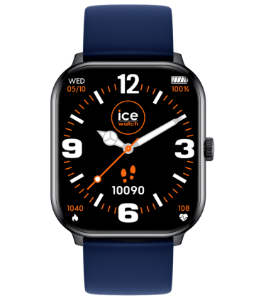 ICE WATCH 021410 ICE WATCH 021410