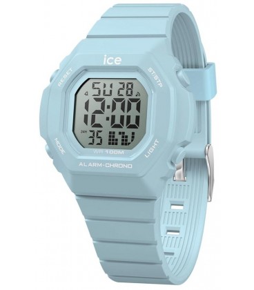 ICE WATCH 022096 ICE WATCH 022096