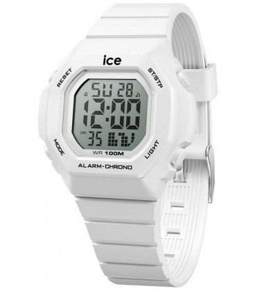 ICE WATCH 022093