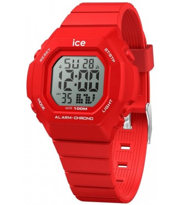 ICE WATCH 022099 ICE WATCH 022099