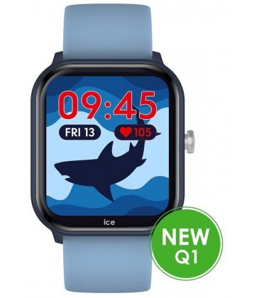 ICE WATCH 022795 ICE WATCH 022795