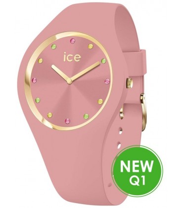 ICE WATCH 022359 ICE WATCH 022359