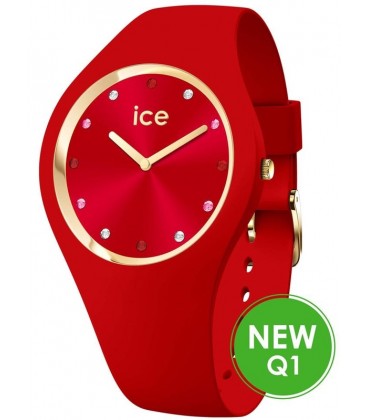 ICE WATCH 022459