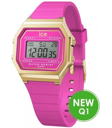 ICE WATCH 022527