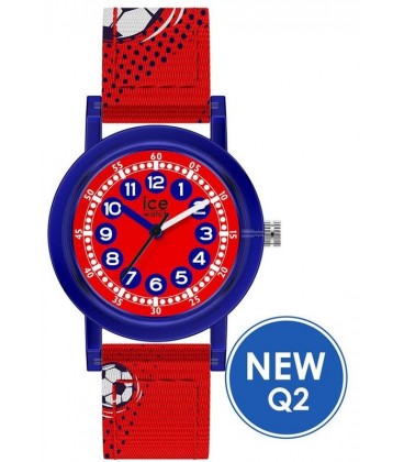 ICE WATCH 022694 ICE WATCH 022694